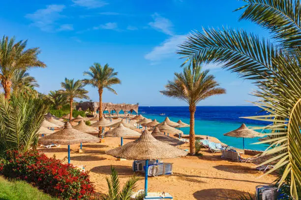 Hurghada Sea Trip